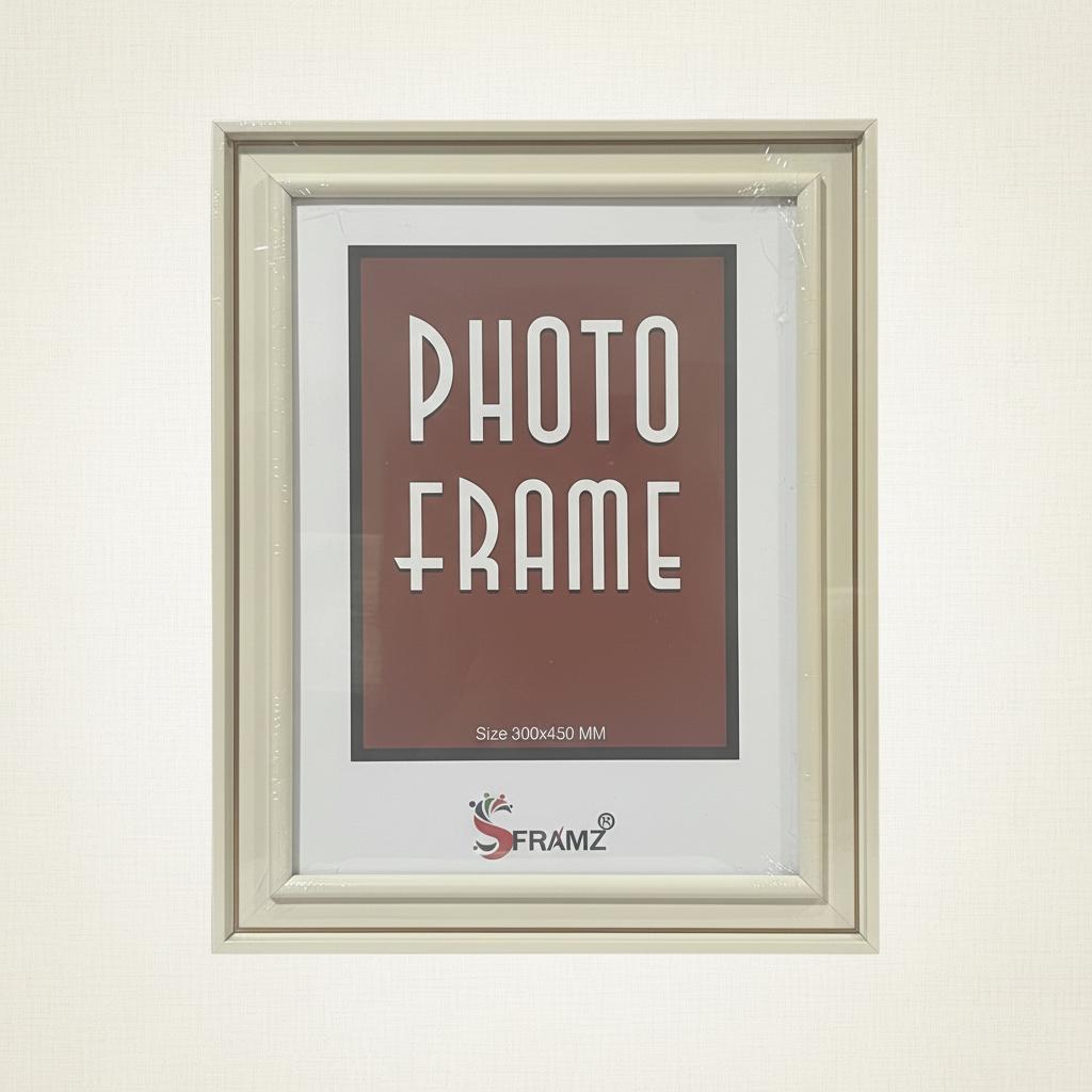 4008 SFRAME  12X18